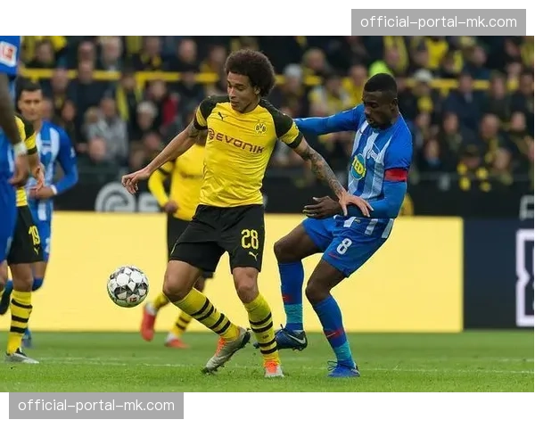 数据深挖:为何里昂本场传中成功率(28%)低于赛季平均值 数据深挖:为何里昂本场传中成功率(28%)低于赛季平均值